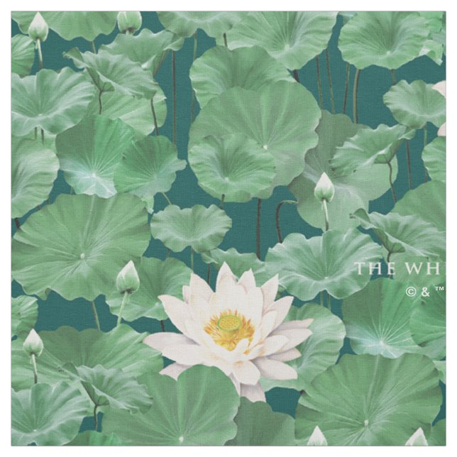 Tecido Padrão do Lago Lotus - O Lotus Branco (Modelo)