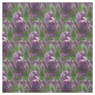 Tecido Padrão Natural Da Flor Da Tulpa Roxa