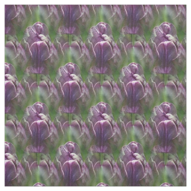 Tecido Padrão Natural Da Flor Da Tulpa Roxa (Modelo)