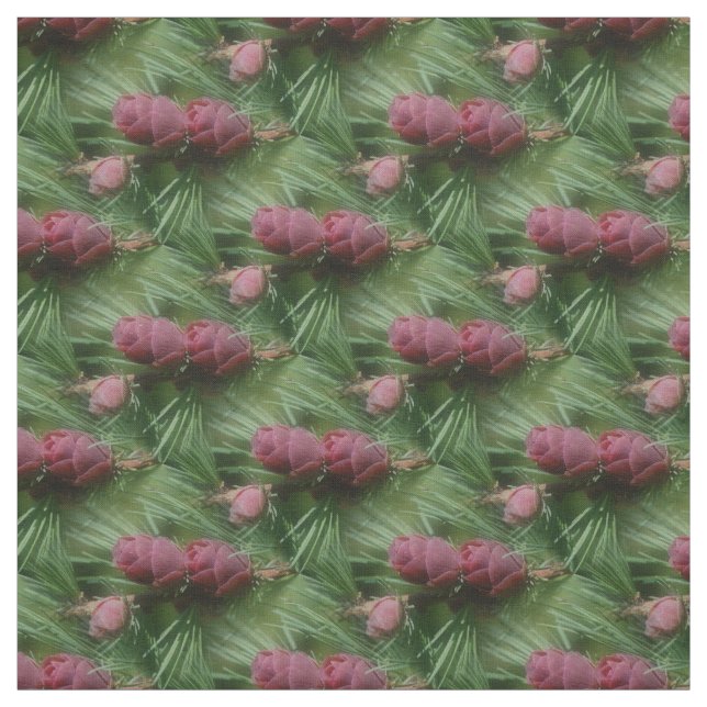 Tecido Padrão Natureza do Miniatura Pine Cones (Modelo)