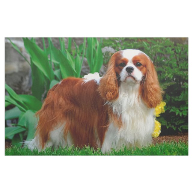 Tecido Painel de cães Blenheim Cavalier King Charles Span (Jarda)