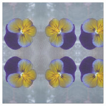 Pansy Bonito Primavera