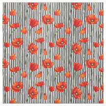 Papagaios e padrões de listras