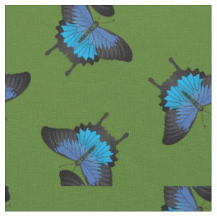 Tecido Papilio Ulysses Borboletas-do-mato-delgado