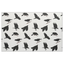 Pássaro Negro ou Corvo talvez corvo