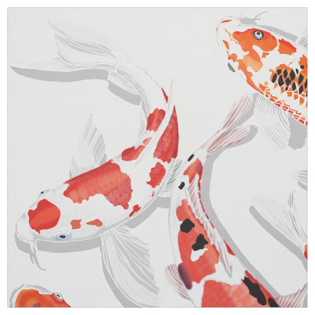 Tecido Peixe Koi (Modelo)