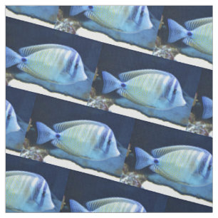 Tecido Peixe tropical