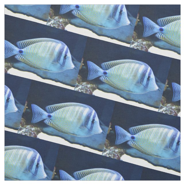 Tecido Peixe tropical (Modelo)