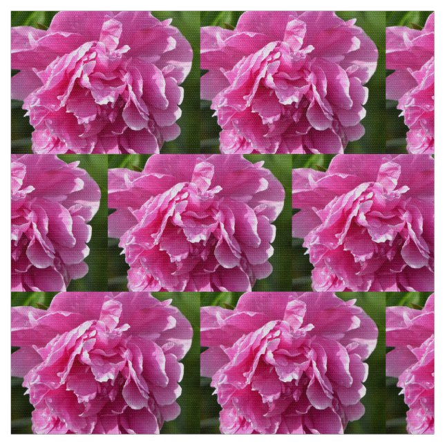 Tecido Pink Peony (Modelo)