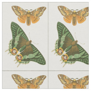 Tecido Pintura de Borboleta Ligeiramente Bordada