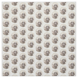 Tecido Pintura De Lagotto Romagnolo - Arte De Cão Origin