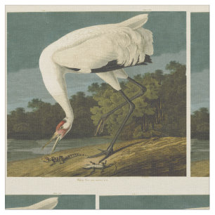 Tecido Pintura de pássaros Audubon Crane Whoping