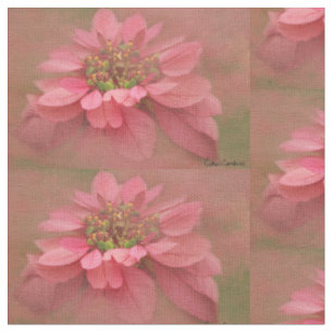 Tecido Poinsettias Tinta Rosa Arte Digital