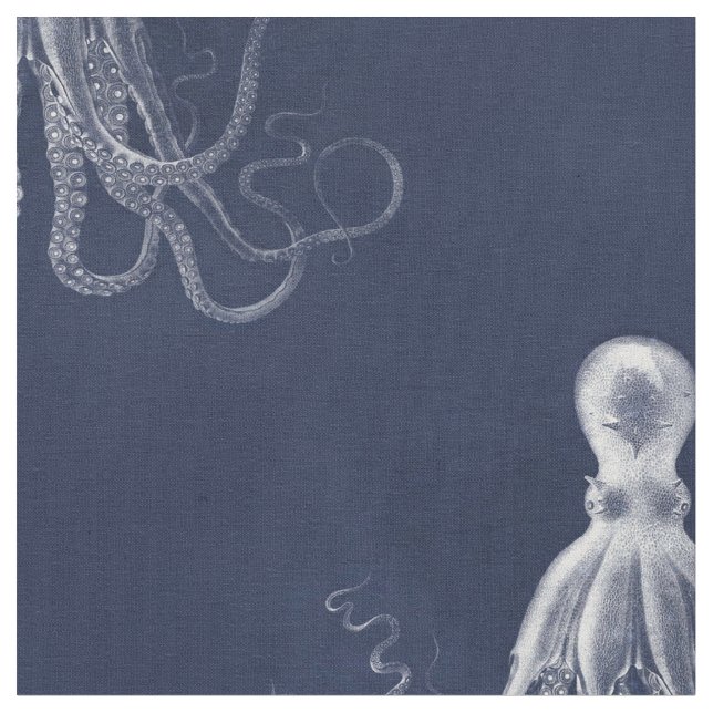 Tecido Polvo do umbigo (Detalhe)