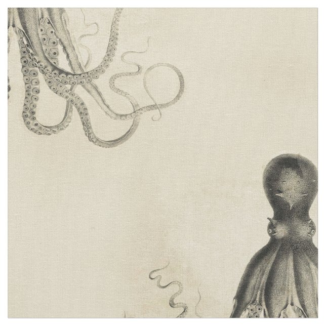 Tecido Polvo encalhado (Detalhe)