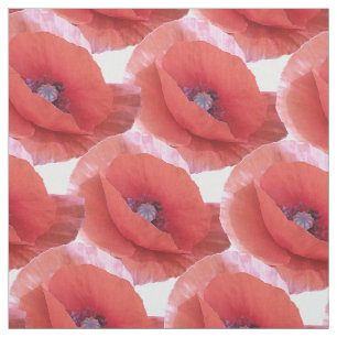 Tecido poppies. vermelhos