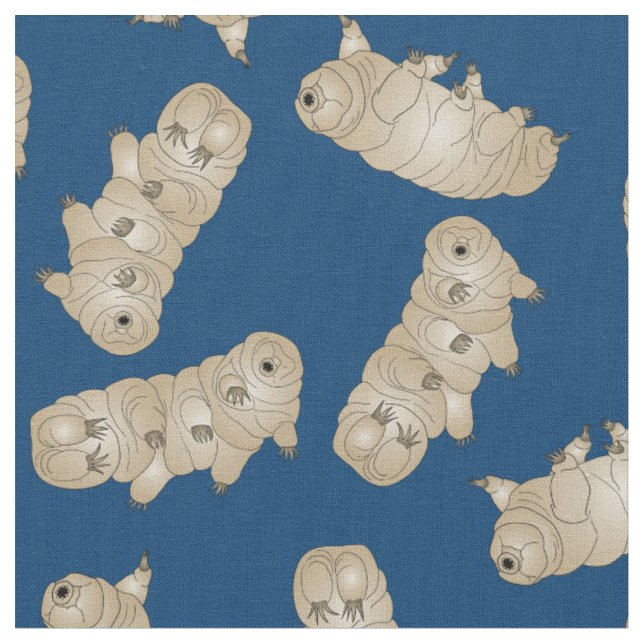 Tecido Porco do Urso de Água Tardigrado (Detalhe)