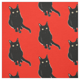 Tecido preto da fotografia do gato do gatinho