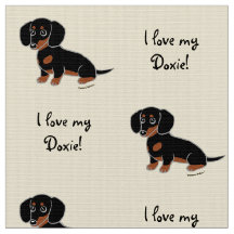 Preto e Dachshund liso de Tan