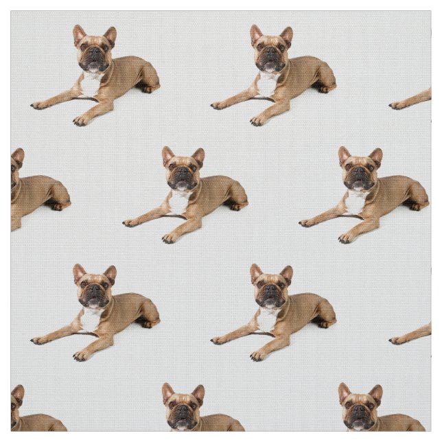 Tecido Puppie (Modelo)