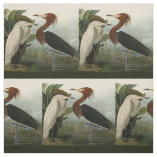 Tecido Púrpura Heron Audubon Bird Willife Painting