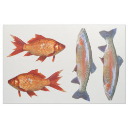 Tecido Quarto colorido da gordura dos peixes