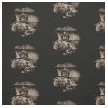 Tecido quebrado do querubim