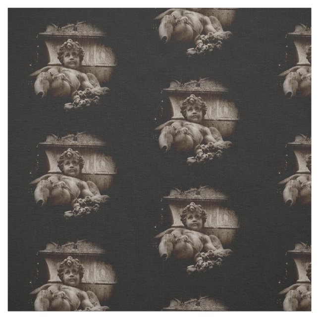 Tecido quebrado do querubim (Modelo)