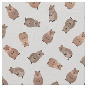 Tecido Quokkas Ilustrados em Cinza Claro