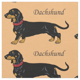 Tecido Raça do Cão-de-Dachshund