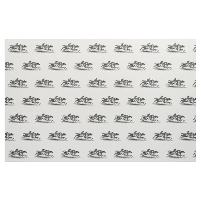 Tecido Race Toile (Fat Quarter)