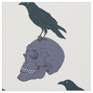 Tecido Raven Em Um Crânio Humano