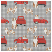 Red Merle Aussie e xadrez vermelha de caminhões