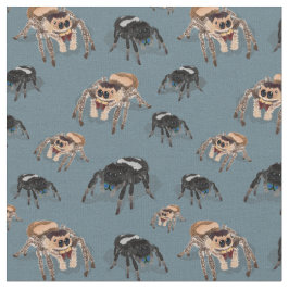 Tecido Regal de Phiddipus Aranha Saltitante