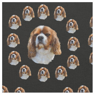 Tecido Rei Charles Spaniel Pattern,