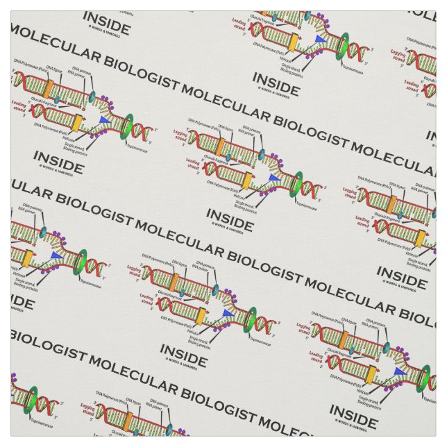 Tecido Replicação de DNA Dentro de biólogo molecular (Modelo)