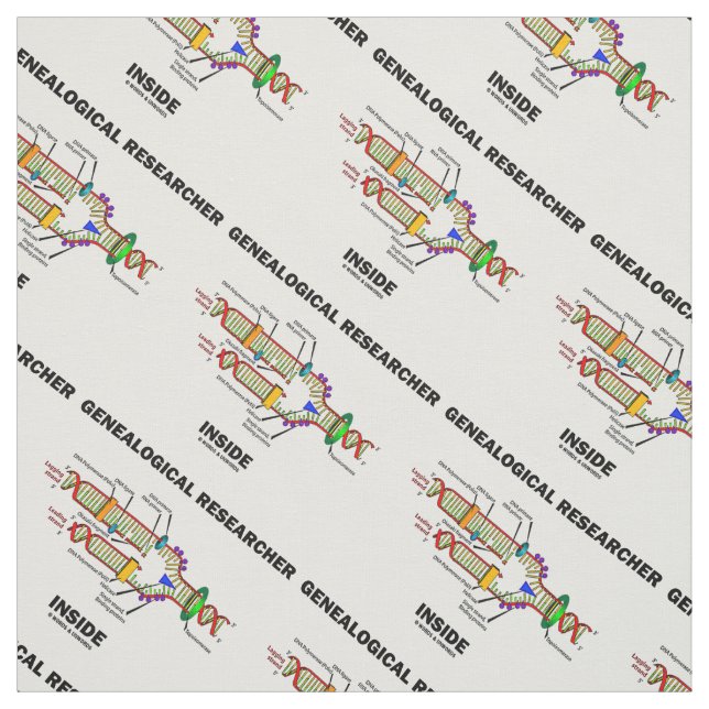 Tecido Replicação de DNA Dentro de pesquisador genealógic (Modelo)