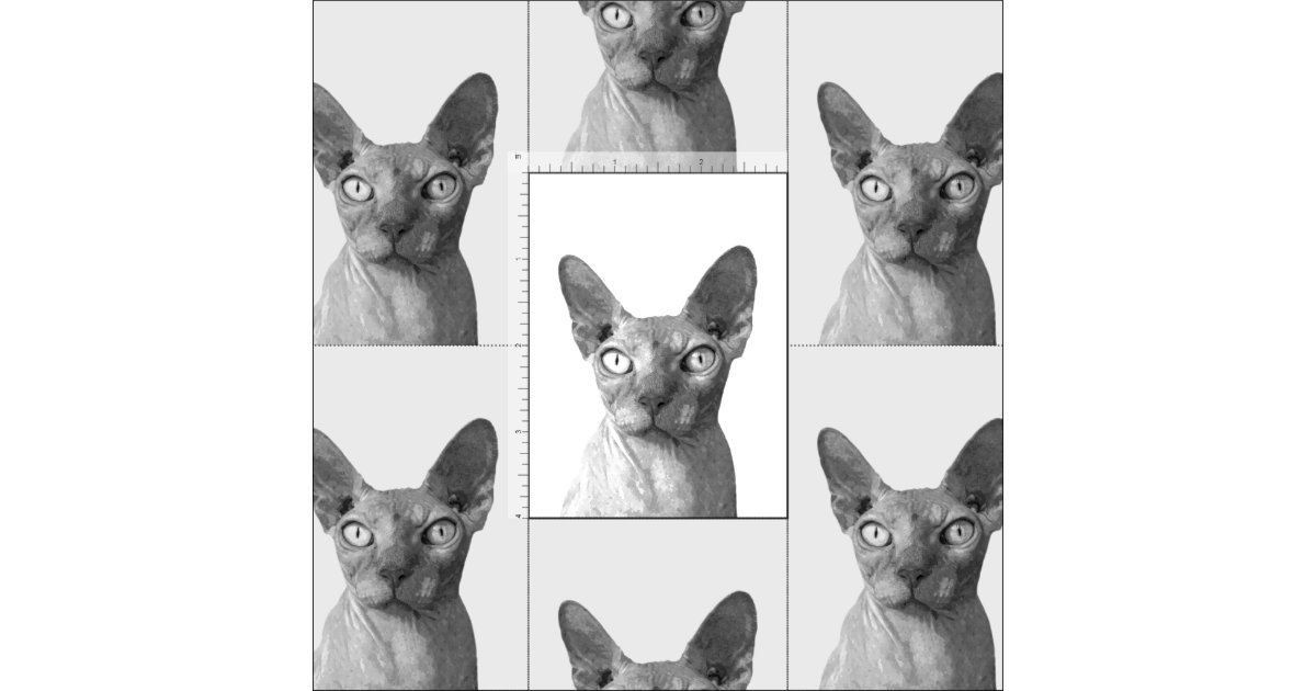 Porta-retratos para gatos, presentes comemorativos para gatos desenhos  animados para animais de estimação para gatos para cães