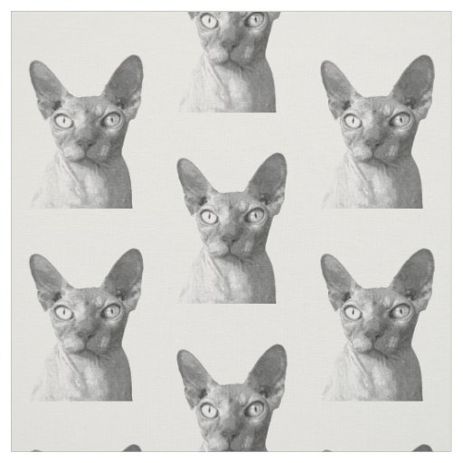 Porta-retratos para gatos, presentes comemorativos para gatos desenhos  animados para animais de estimação para gatos para cães