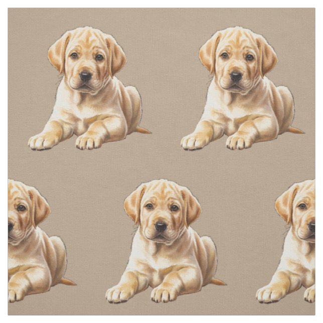 Tecido Retriever Labrador Amarelo (Modelo)