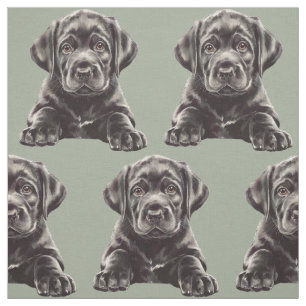Tecido Retriever Labrador Preto