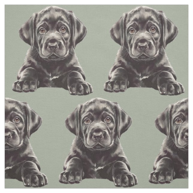 Tecido Retriever Labrador Preto (Modelo)