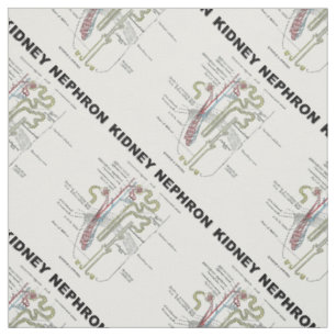 Tecido Rim Nephron Gray's Anatomy Textbook