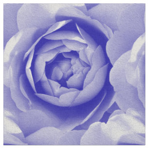 Tecido Rosa azul