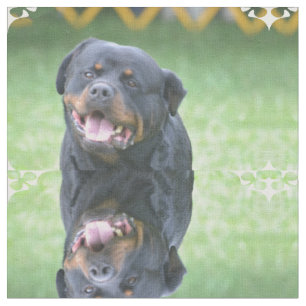 Tecido Rottweiler de sorriso