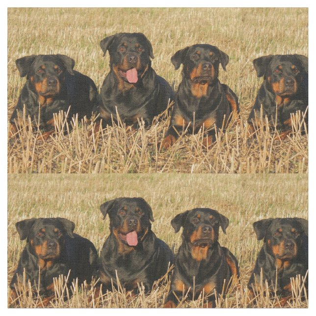 Tecido rottweiler-group.png (Detalhe)