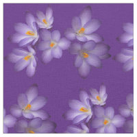 Tecido roxo da flor do açafrão do primavera