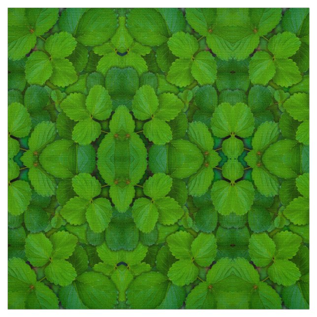 Tecido Santo Basil Tulsi Green Mint Folhas (Modelo)