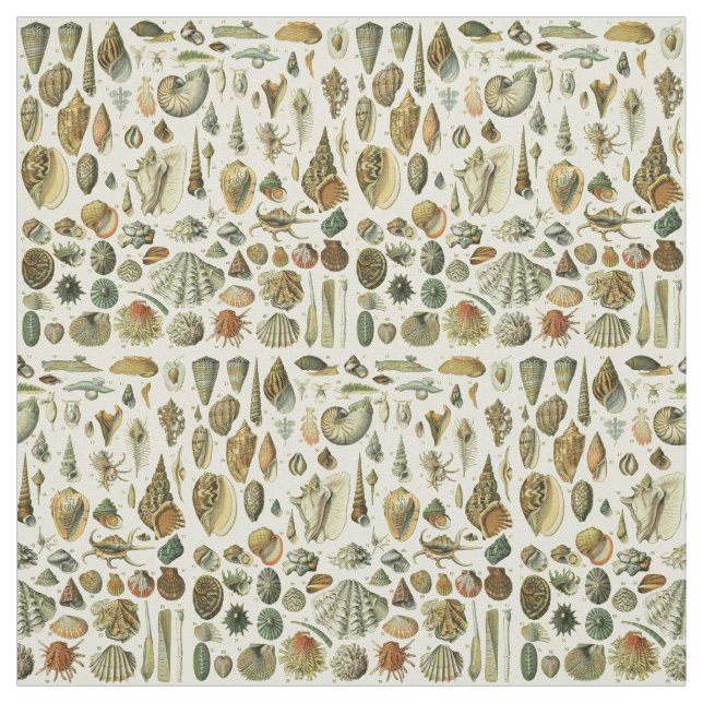 Tecido Seashell Shell Mollusk Clam Elegant Clam Art (Modelo)