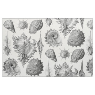 Tecido Seashells do vintage
